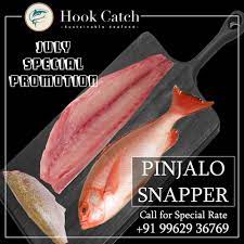 hook Catch Pinjalo Snapper