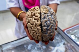 Fmcg-brands-and-Products-target-the-human-brain.jpg