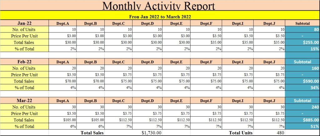 Fmcg-salesmans-monthly-sales-Activity-Report