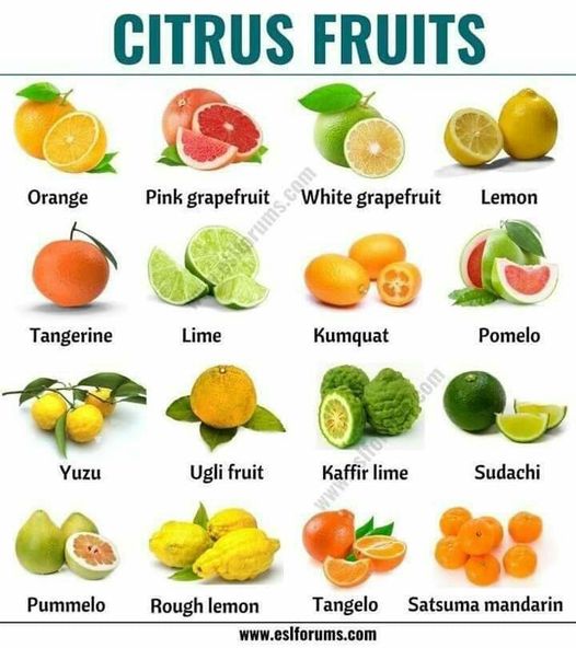 Citrus-Fruits and Beverage