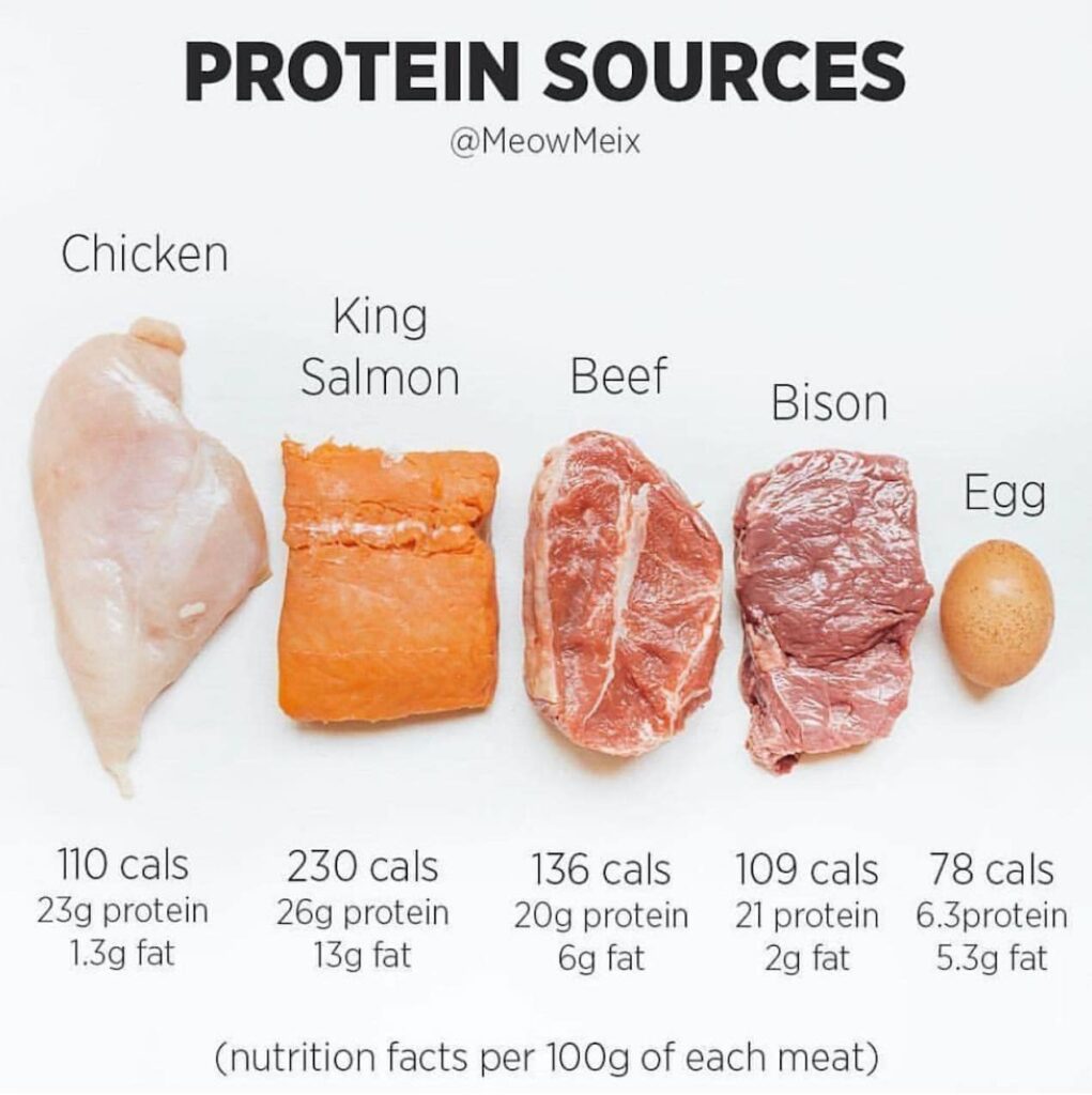 Protien-sources-in-Meat.