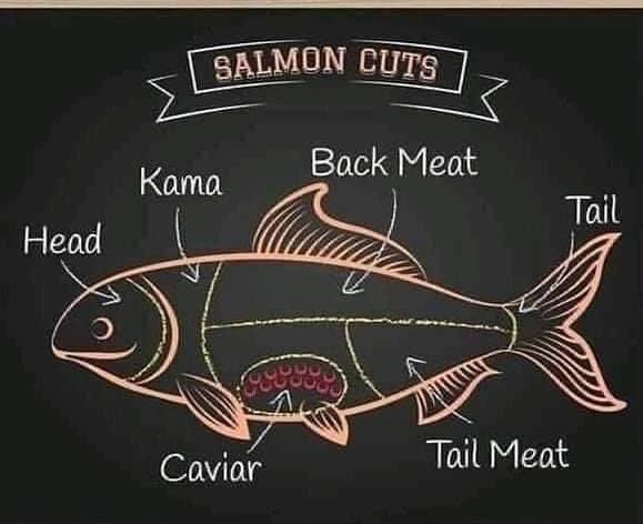  Salmon-Cuts.