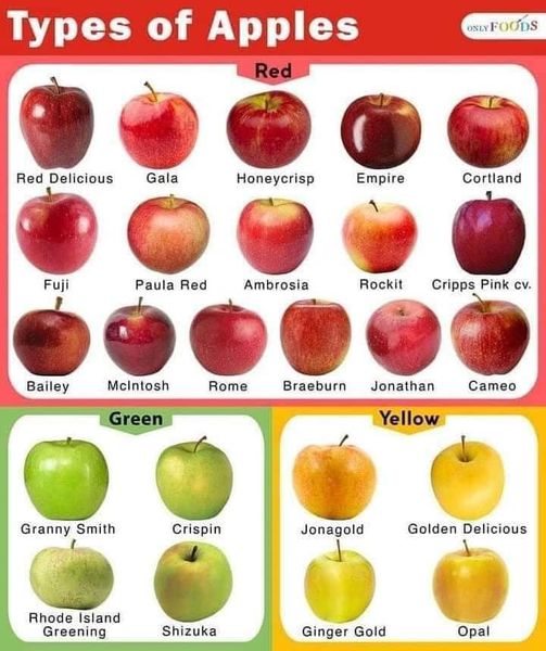 Types of Apples