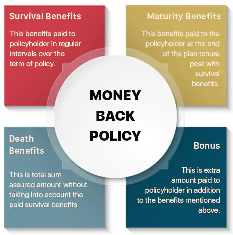 money-back-policy.