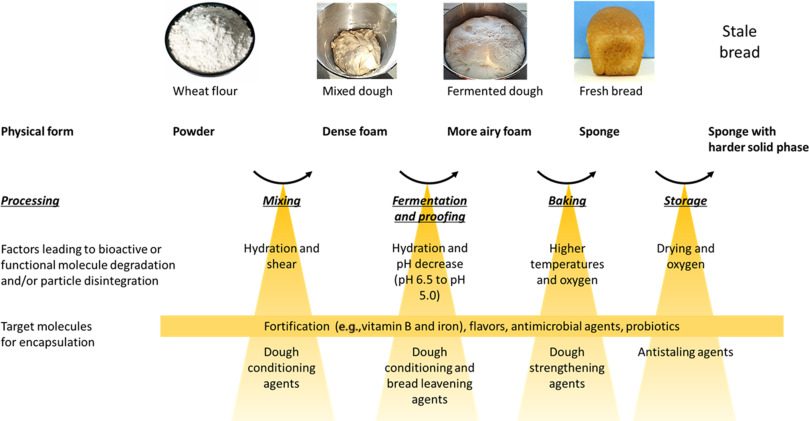 Commisary-and-Bakery-Terms-