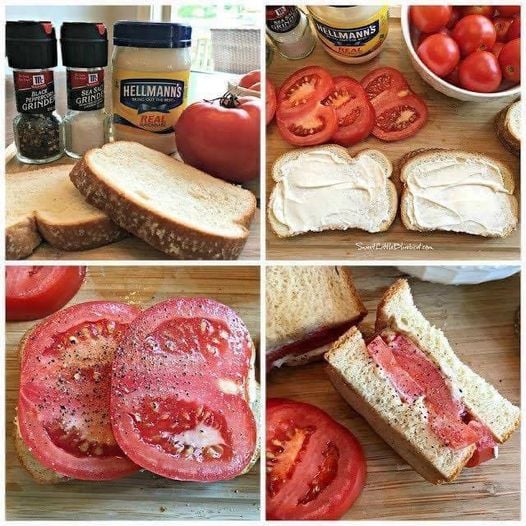 In-1970s-DURING-THE-60s-ONE-OF-THE-SIMPLEST-TREATS-IN-THE-WORLD-a-tomato-sandwich...wed-wait-all-year-for-the-good-tomatoes-just-add-mayo-salt-n-pepper-on-bread.-