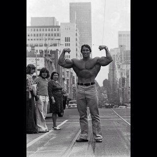  Arnold-Schwarzenegger-in-Austria.