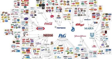 fmcg-brands-and-food-industry